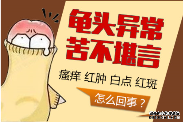 石河子为什么龟头里面有白色物质！