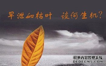 石河子过多手淫,,可能导致不育